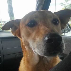 Meet your Posher, Debbie